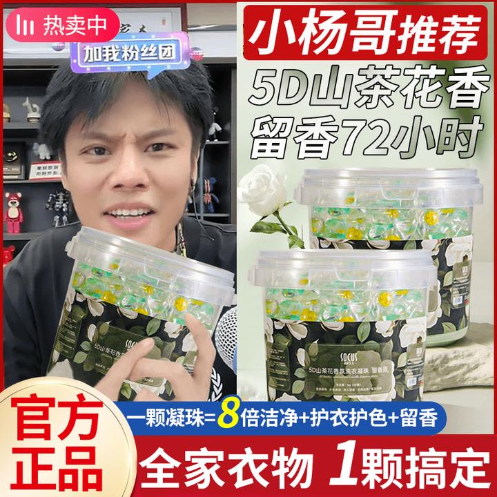 【小扬专属】山茶花洗衣凝珠香味持久留香72小时除菌除螨去污三合一