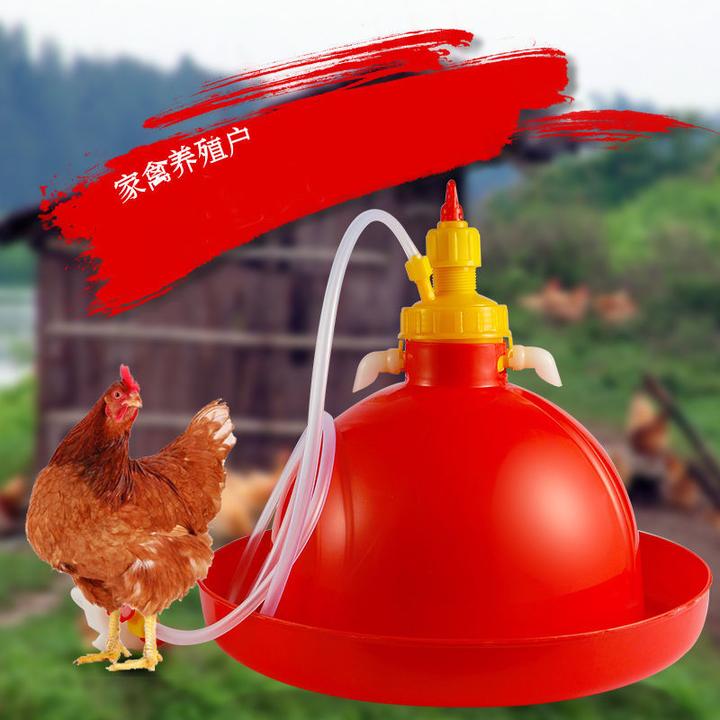鸡用自动饮水器普拉松鸭鹅喂水器小鸡加水壶养鸡养殖设备鸡用品
