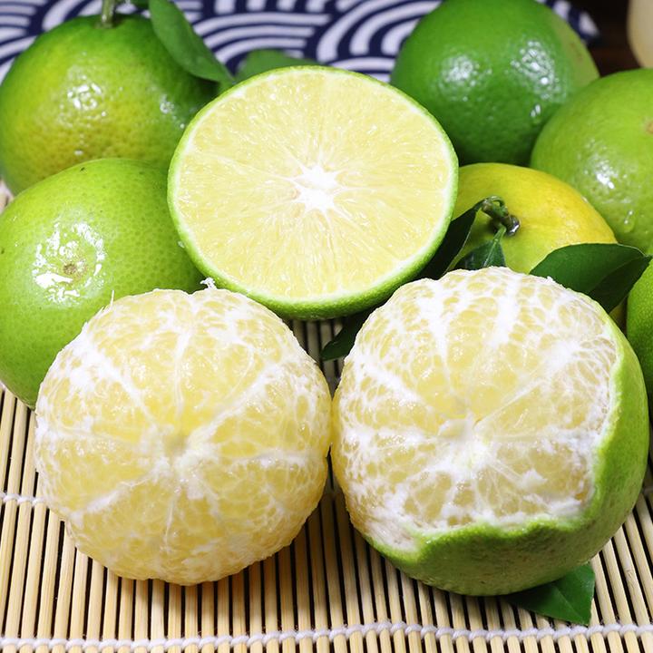 广西皇帝柑清甜多汁礼盒装