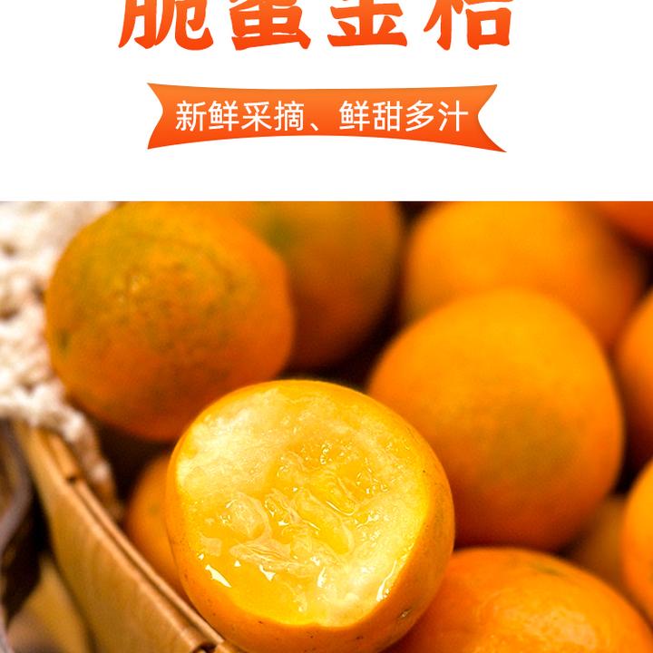 【巨甜金桔】第三代脆蜜金桔金柑孕妇水果新鲜时令脆甜可口汁水多