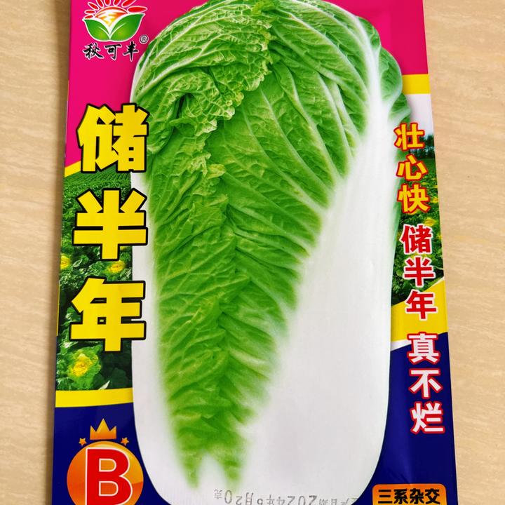 秋可丰叠抱储半年白菜籽