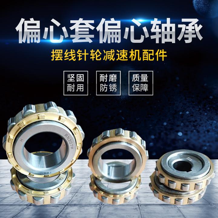 摆线针轮减速机配件 圆柱滚子轴承 偏心套 偏心轴承RN206M RN307