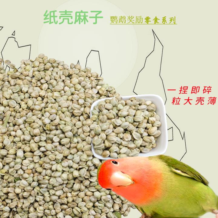 薄皮训练纸壳麻子玄凤牡丹小太阳和尚增肥奖励零食鹦鹉鸟鹦鹉食粮