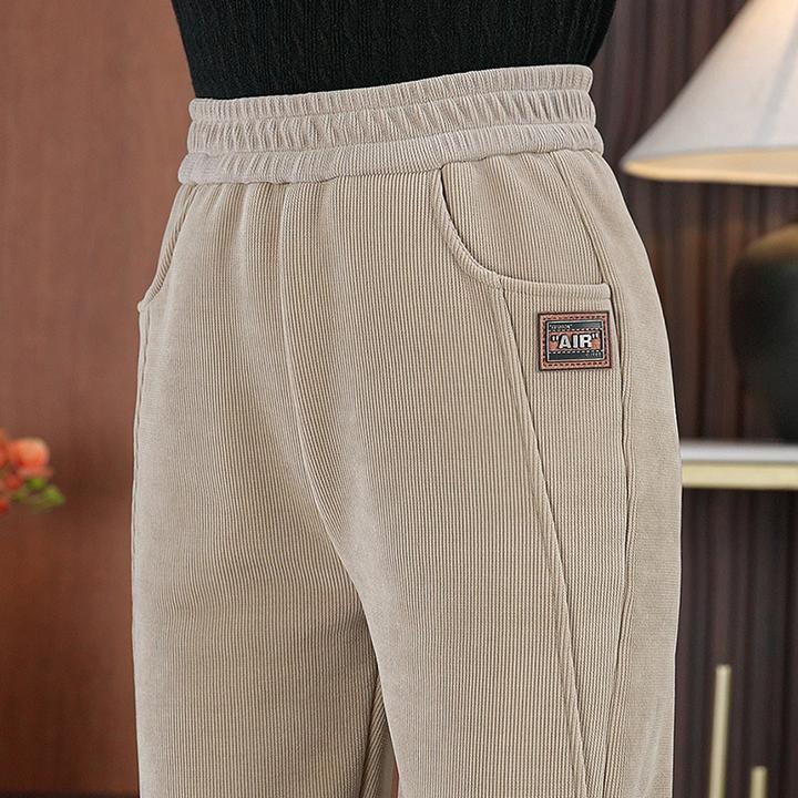 秋冬哈伦裤加绒休闲裤2025新款显瘦高腰直筒保暖长裤宽松小脚裤