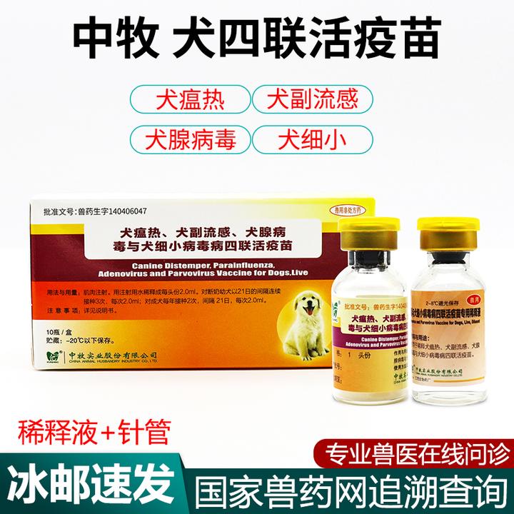 中牧犬四联疫苗英特威辉瑞预防温热副流感英特威四联疫苗