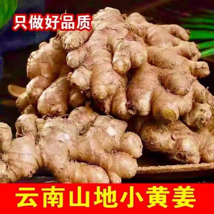 云南山地小黄姜9斤/5斤/3斤/1斤生姜特价农家种植辛辣味十足新鲜