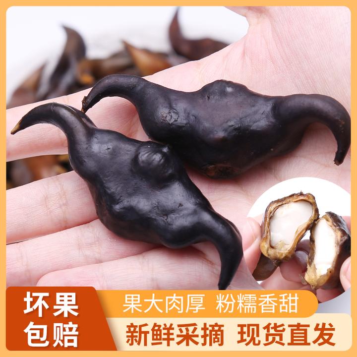 【粉糯老菱角】2025老菱角湖北特产新鲜现采老菱角1/3/5斤装基地