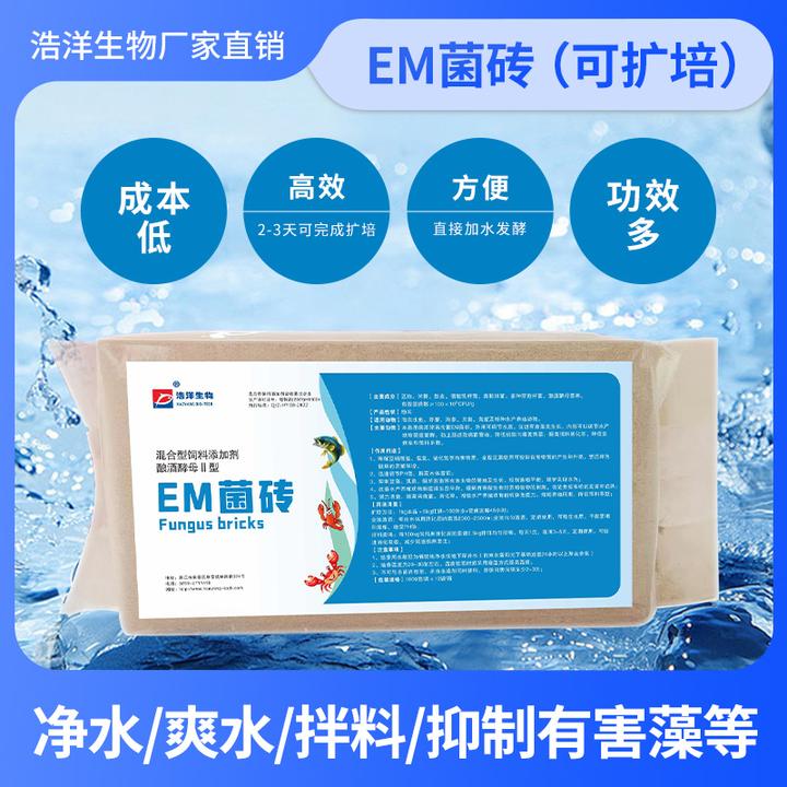 水产养殖 EM菌砖 复合乳酸菌 扩培菌种 厂家直销有效调节水质培藻