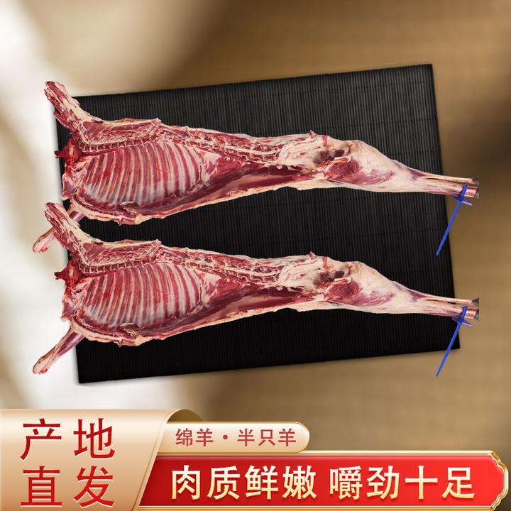 精选新疆小绵羊鲜宰半羊10-14斤 烧烤火锅享受美味整扇30%腿排