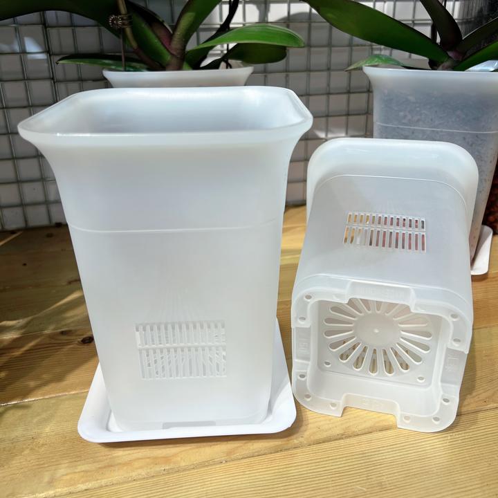 蝴蝶兰专用花盆方形花盆塑料花盆方形塑料绿植