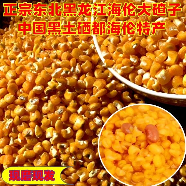 东北大碴子火玉米笨碴子玉米糁黑土地种植现磨好吃煮粥营养食用