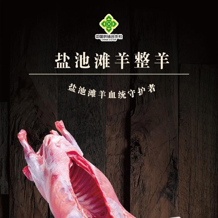 整只羊-正宗宁夏盐池滩羊-牧场直发-宁夏滩羊-整羊扇斤%腿排整扇