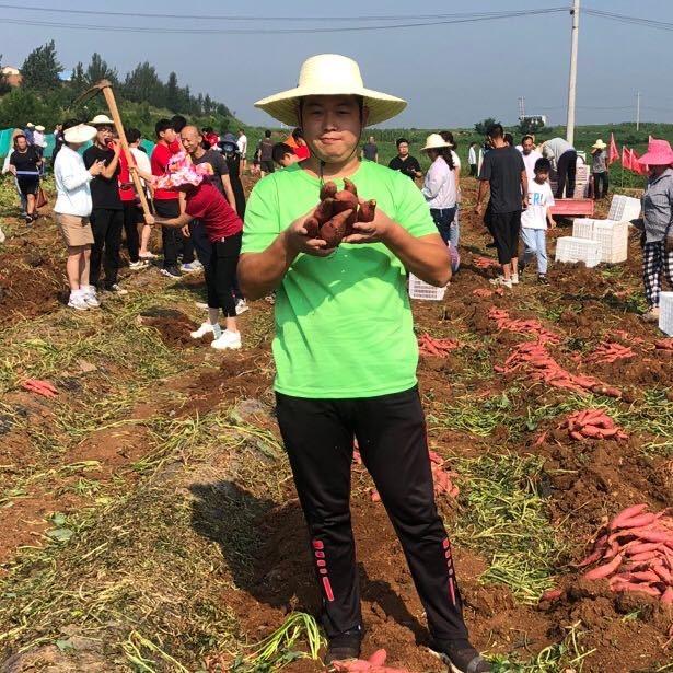 2025年 河南伊川鸦岭岭上蜜薯糖心红薯软糯香甜健康尝鲜装3斤包邮