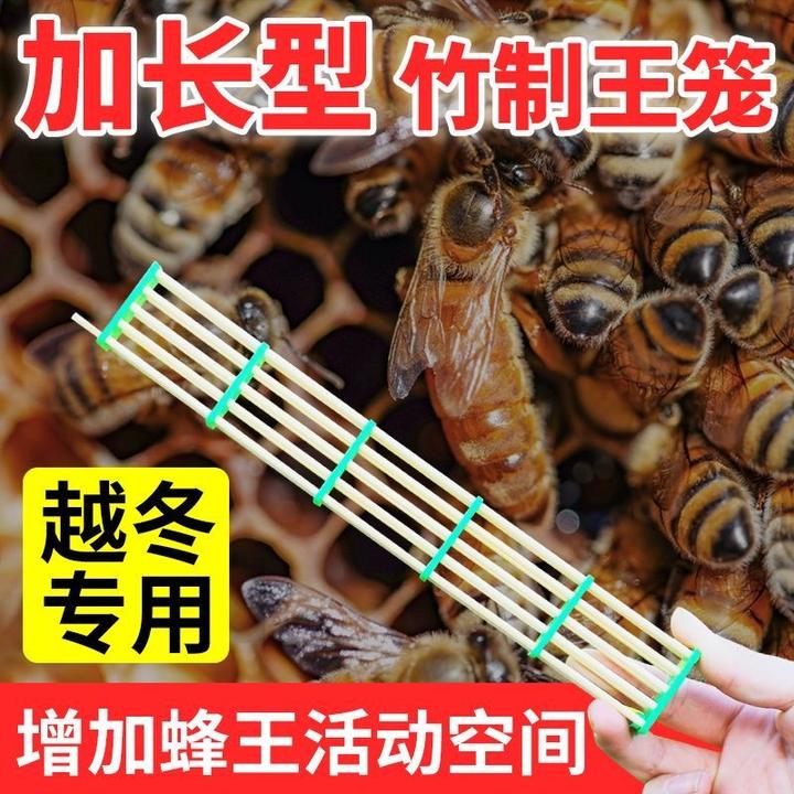 蜜蜂王笼竹制五节加长囚王笼蜂王产卵控制器中蜂意蜂越冬竹制王笼