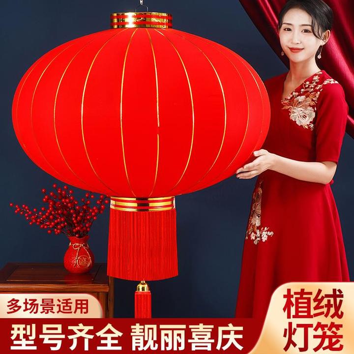 2025新款大红灯笼挂饰过年新年阳台大门口一对户外春节装饰吊宫灯