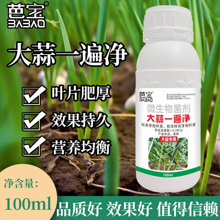 大蒜专用大蒜通用微生物菌剂斑点紫斑锈病疫病干尖黄叶灰霉