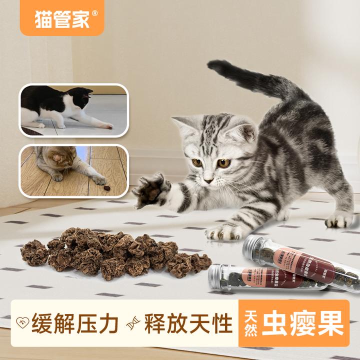 猫管家木天蓼猫咪磨牙啃咬可食用猫薄荷逗猫零食自嗨猫猫用虫瘿果