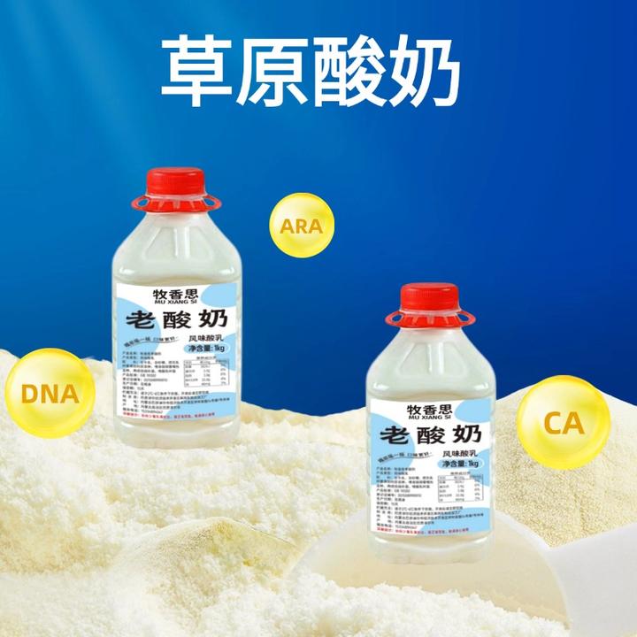 内蒙古低温鲜酿酸奶代餐大桶酸奶营养健康美味尝鲜厂直发