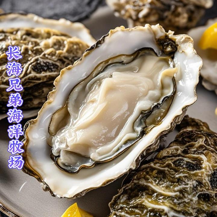 长海县广鹿岛 大号纯原浆生蚝肉二斤 三斤装 活体现扣肉 顺丰包邮