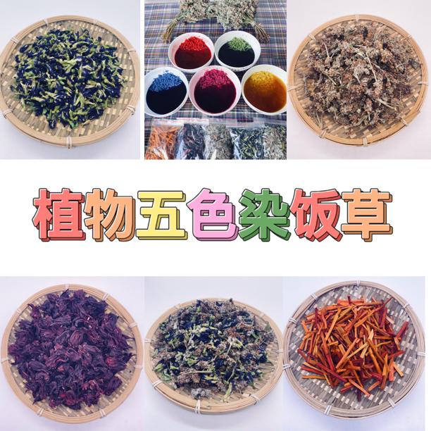 五色糯米饭植物染料当季新花晒干优质材料送制作教程天然植物染料