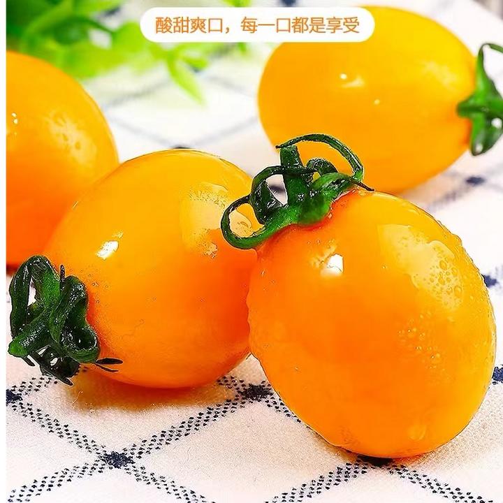 现摘新鲜圣女果金玲珑珍珠黄金小番茄樱桃小西红柿孕妇当季水果