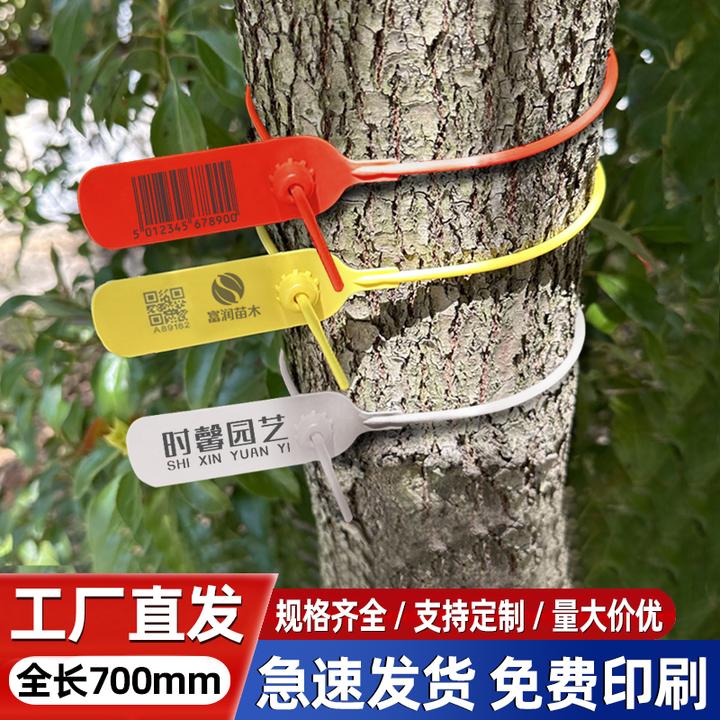 一次性塑料封条扎带防调卡扣物流标牌集装箱铅封防盗封签防拆签封