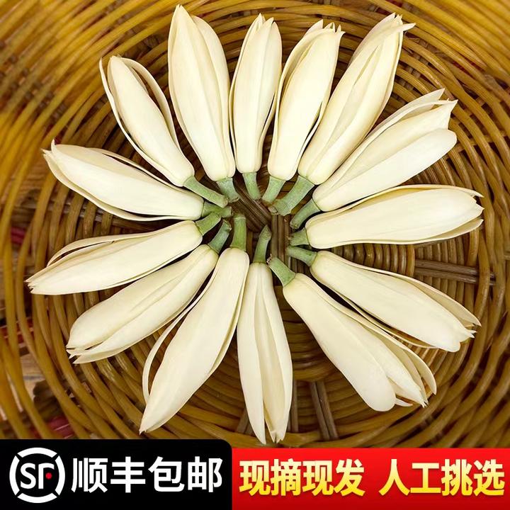 白玉兰花黄葛兰缅桂黄桷兰新鲜现摘鲜花花苞朵黄果兰纯露精油挂饰