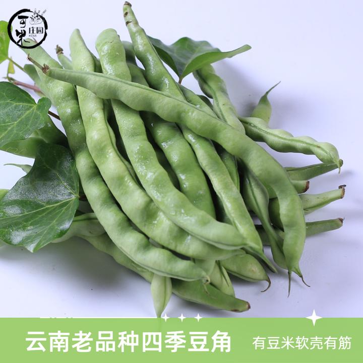 云南四季豆角芸豆本地长扁豆角新鲜蔬菜农家自种青扁豆豆米包邮
