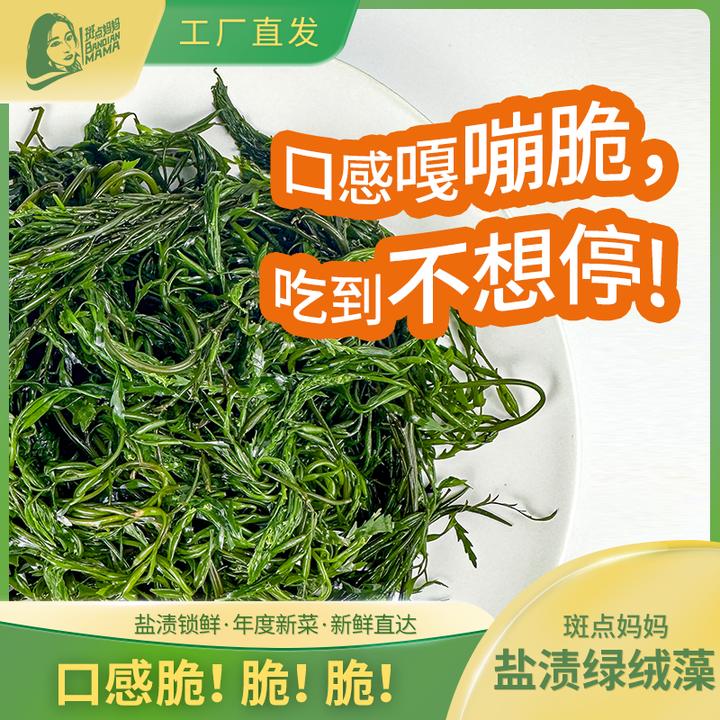 盐渍绿绒藻凉拌涮火锅脆爽营养福建霞浦新鲜发货优质食材农产品