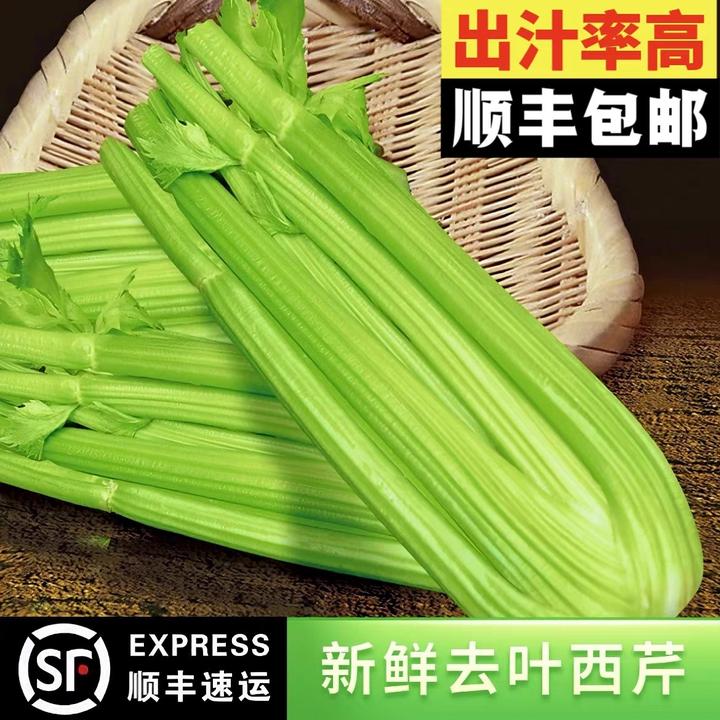 【健康臻选】山东蔬菜基地新鲜榨汁西芹现割现发健康多汁清香爽口