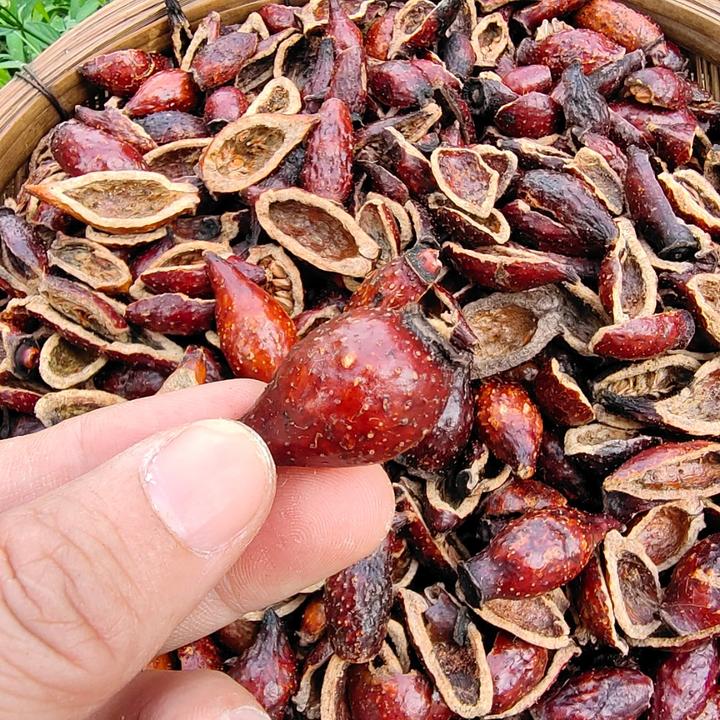 切开金樱子果肉  三蒸三晒优质250克
