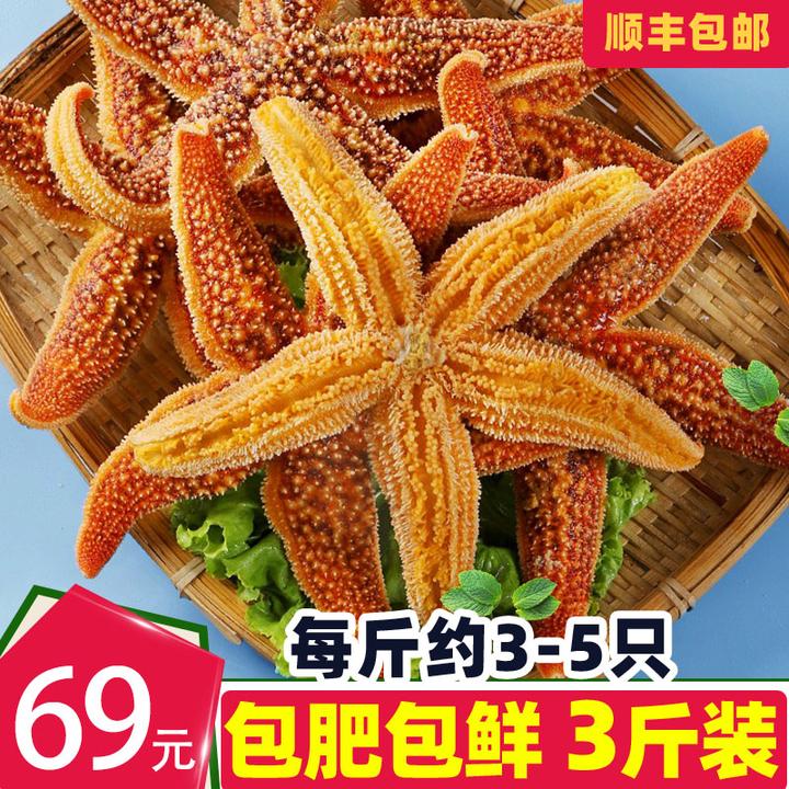 海星鲜活派大星新鲜熟冻速冻海星满籽海鲜野生五角星食用海星3斤