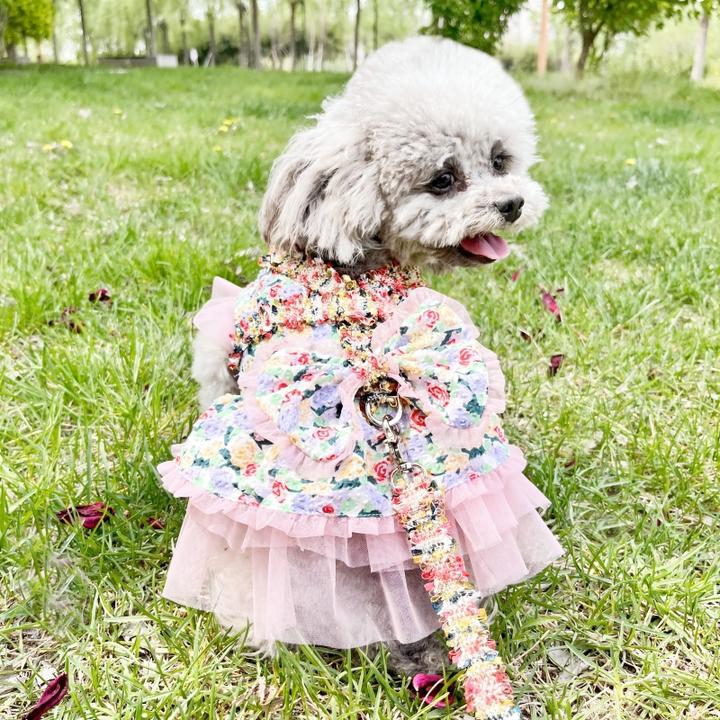 （巴仔原创）夏季时尚透气泰迪博美比熊雪纳瑞牵引一体仙女裙