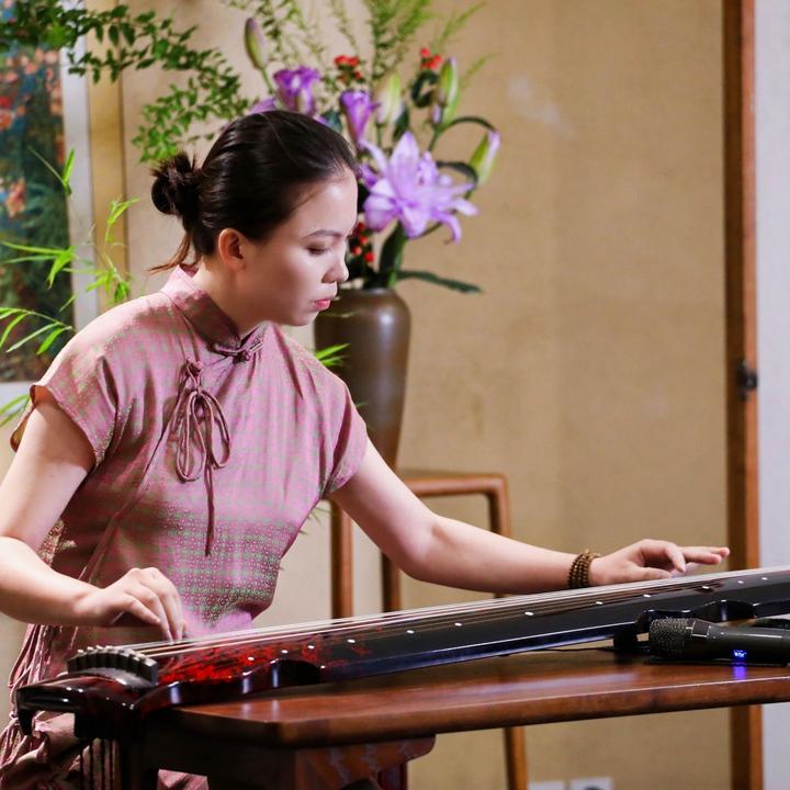 古琴之旅经典琴曲学习