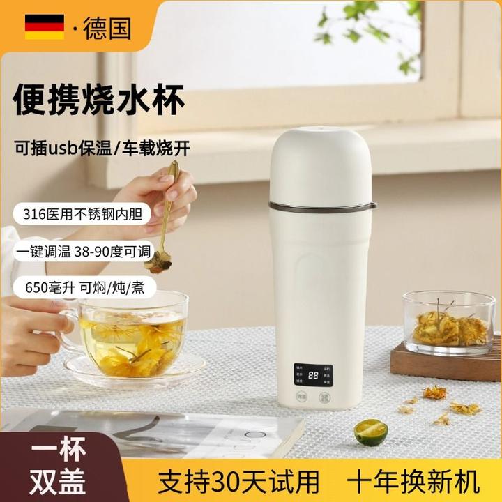 电热杯小型迷你便携式烧水壶办公室旅行保温冲奶车载水杯家用新款