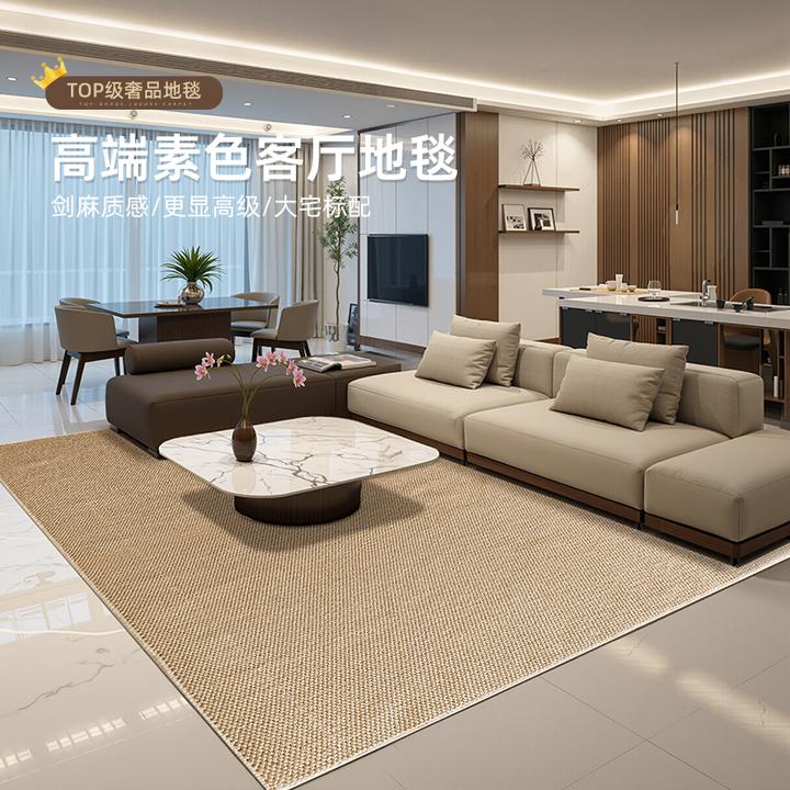纯色大地毯2025新款高级地毯茶几毯沙发卧室原木风素色地垫防猫抓
