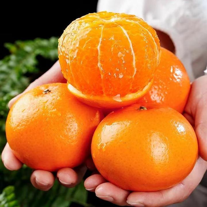 正宗广西沃柑武鸣汉邦沃柑普通果果孕妇水果当季新鲜桔子橘子橙子