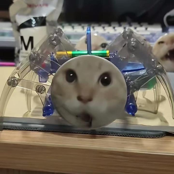 耄耋蜘蛛猫实验玩具科技diy小手工制作创意益智礼物拼装电动爬行