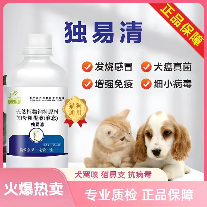 独易清猫狗专用通用止咳去火猫狗窝咳犬瘟猫瘟倒吸气喘气猫狗必备
