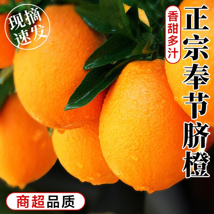 正宗重庆奉节脐橙斤10橙子新鲜大果应季水果纽荷尔产地直发赣南