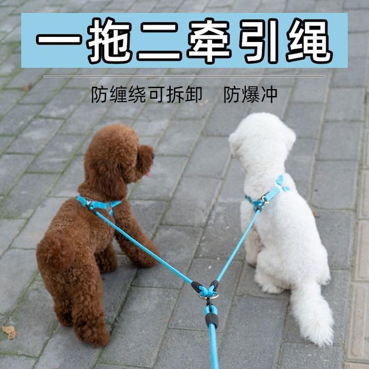 狗狗牵引绳一拖二遛狗绳子双头两只小中小型大型犬宠物泰迪链子