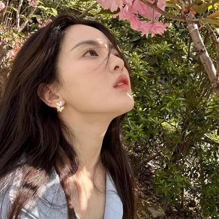 铜合金锆石耳饰 高级感锆石蝴蝶梦幻甜美爆款独特设计小众耳钉
