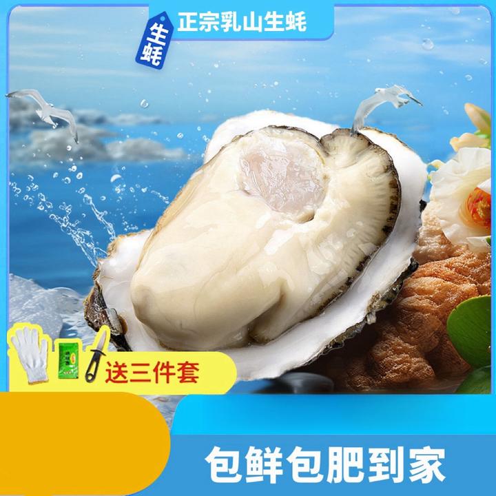 【买五斤送五斤】新鲜正宗乳山生蚝牡蛎 原产地精品海蛎子