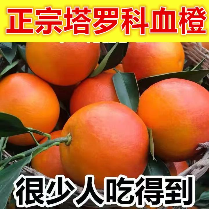 【现货速发专属】正宗资中塔罗科血橙新鲜水果手剥脐橙橙子整箱批发