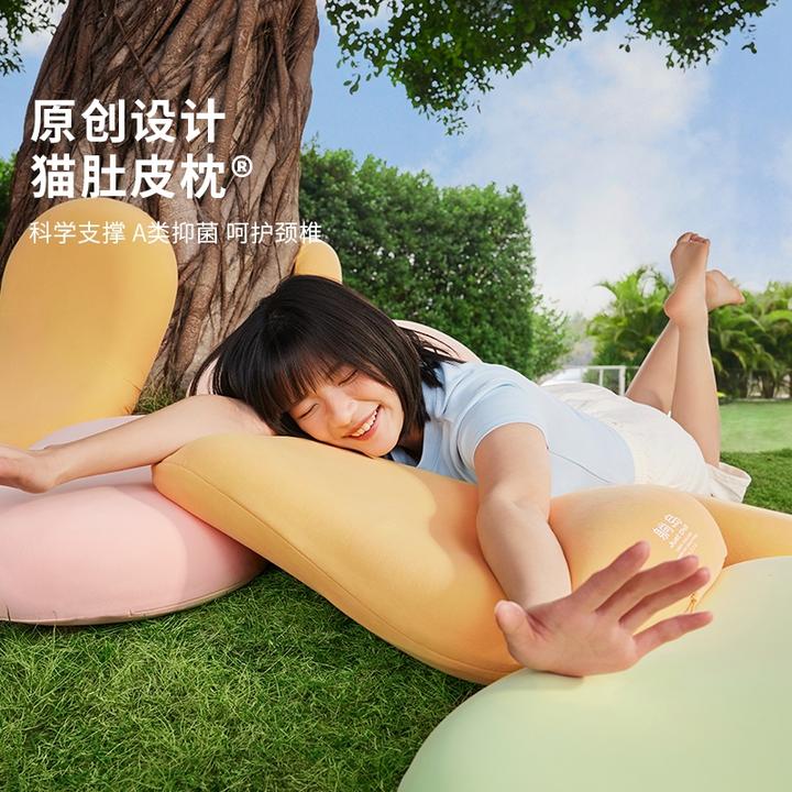 躺岛猫肚皮枕 科学分区记忆棉护颈枕学生宿舍侧睡枕不塌抑菌单人