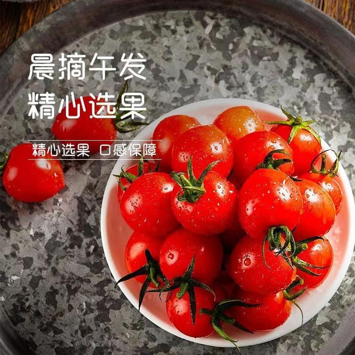 重庆樱桃小番茄酸甜多汁新鲜现摘小番茄当季夏天水果老少皆宜3斤