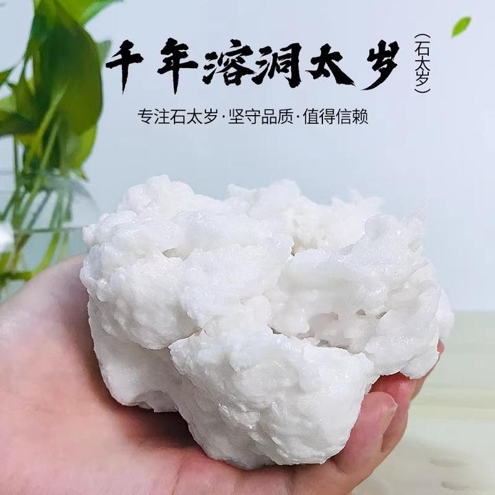 太岁肉灵芝收藏臻品纯天然溶洞野生精品白肉石太岁泡水养生100g