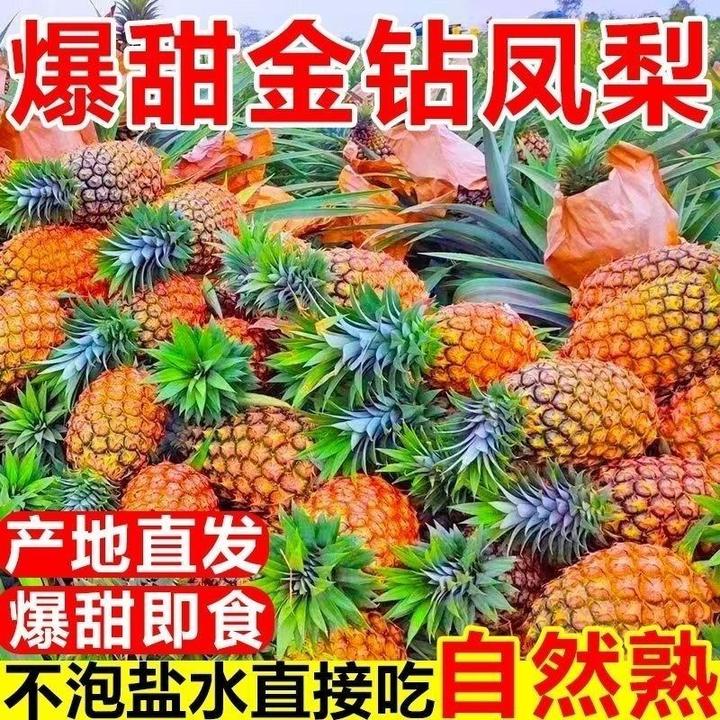 海南正宗金钻凤梨新鲜当季水果手撕菠萝孕妇水果香甜多汁树上熟