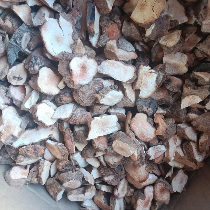 野生土茯苓 自然晒干 （干货）