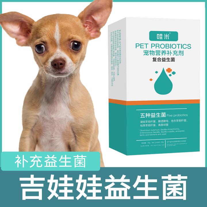 吉娃娃专用益生菌粉宠物犬用狗狗小幼犬成犬肠胃宝肠道消化宝